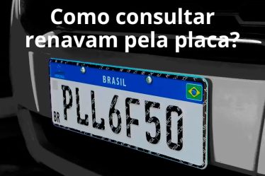 consultar renavam pela placa