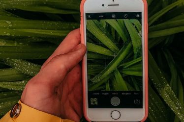 Reconhecer planta com aplicativo