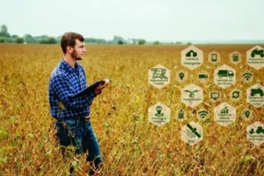 Como ver fazenda de cima por aplicativo de drone