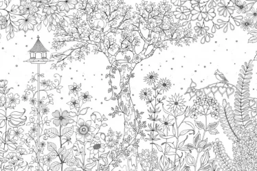 Aplicativo para colorir pelo celular